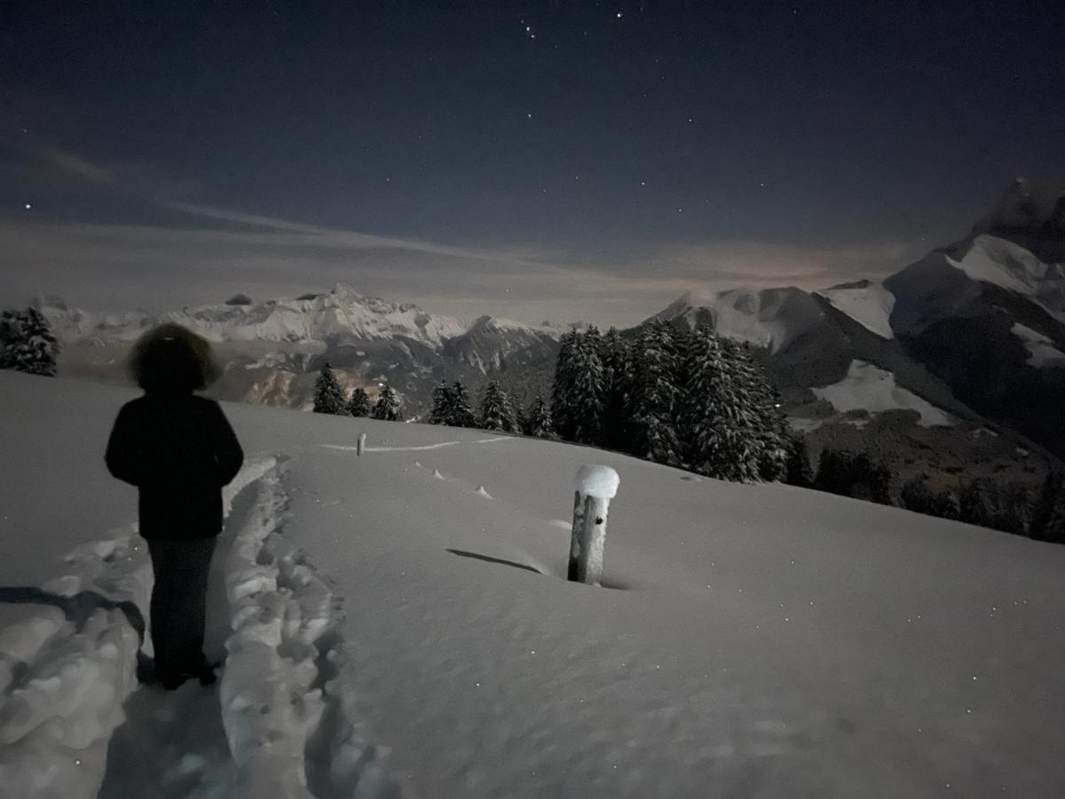 Chalet Chanso Morgins ภายนอก รูปภาพ